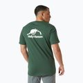 Shirt Herren Helly Hansen Nord Graphic jungle green 2