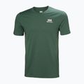 Shirt Herren Helly Hansen Nord Graphic jungle green 4