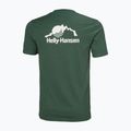 Shirt Herren Helly Hansen Nord Graphic jungle green 5