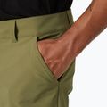 Helly Hansen Herren Softshell-Hose Brono Softshell Zip Off terrain grün 3