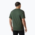 Herren Helly Hansen Box T 2.0 Dschungel grünes T-shirt 2