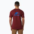 Herren Helly Hansen Nord Grafik-T-Shirt mars rot 2