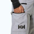 Herren-Skihose Helly Hansen Garibaldi 2.0 grau/melange 4