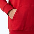 Herrenpullover Helly Hansen HH Logo Hoodie red 4