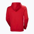 Herrenpullover Helly Hansen HH Logo Hoodie red 6