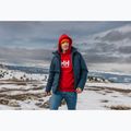 Herrenpullover Helly Hansen HH Logo Hoodie red 7