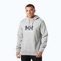 Herrenpullover Helly Hansen HH Logo Hoodie grey/melange