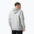 Herrenpullover Helly Hansen HH Logo Hoodie grey/melange 2