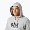 Herrenpullover Helly Hansen HH Logo Hoodie grey/melange 3