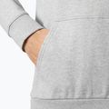 Herrenpullover Helly Hansen HH Logo Hoodie grey/melange 4