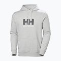 Herrenpullover Helly Hansen HH Logo Hoodie grey/melange 5