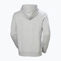 Herrenpullover Helly Hansen HH Logo Hoodie grey/melange 6
