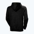 Herrenpullover Helly Hansen HH Logo Hoodie black 6