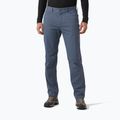 Herren-Trekkinghose Helly Hansen Holmen 5 Pocket alpine frost