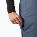 Herren-Trekkinghose Helly Hansen Holmen 5 Pocket alpine frost 3