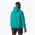 Herren-Segel-Sweatshirt Helly Hansen HP Ocean 2.0 dark mint melange 2