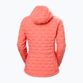Damen-Hybridjacke Helly Hansen HP Hybrid Stretch Insulator sunset pink 8