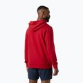 Herren Sweatshirt Helly Hansen Core Graphic Hoodie red 2