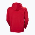 Herren Sweatshirt Helly Hansen Core Graphic Hoodie red 6