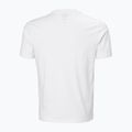 Herren T-Shirt Helly Hansen Core Graphic T 2.0 black 5