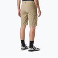 Segelshorts Herren Helly Hansen QD Cargo 11" pebble 2