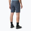 Herren-Trekking-Shorts Helly Hansen Holmen 5 Pocket alpine frost 2