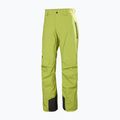 Herren Skihose Helly Hansen Legendary Insulated pulse green