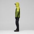 Herren-Regenjacke NORRONA Falketind Dri1 pesto/golden lime 5
