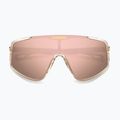Carrera 4017/S Herren Kristallbeige/Rosegold Mehrschichten-Sonnenbrille 4