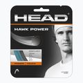 HEAD Hawk Power Tennissaite 12 m grau 281022