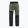 Herren Skihose HEAD Race Nova grün 821312