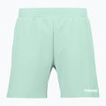 HEAD Power Herren Tennisshorts grün 811473PA