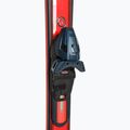 HEAD Shape e.V5 AMT-PR + PR 11 dunkelblau/rot Abfahrtsski 4