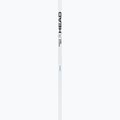 Skistöcke HEAD Worldcup Rebels Carbon white 2