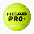 Padel-Bälle HEAD Padel Pro+ 3 Stk. yellow 3