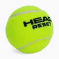 HEAD Reset Polybag Tennisbälle 72 Stück grün 575030 3