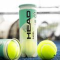 Padel-Bälle HEAD Padel One S 3 Stk. yellow 2
