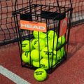 HEAD Tennis Ball Korb mit Trennzeichen schwarz 287251 7