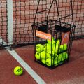 HEAD Tennis Ball Korb mit Trennzeichen schwarz 287251 8