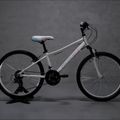 Kinderfahrrad Romet Jolene 24 weiß 2224608 14