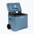 Igloo IE42 ACDC 42 l eisblauer Touristenkühlschrank 9