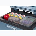 Igloo IE42 ACDC 42 l eisblauer Touristenkühlschrank 12