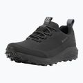 Trekkingschuhe Herren Haglöfs L.I.M FH GTX Low true black/magnetite 8