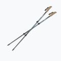 Trekkingstöcke Silva Trekking Poles Carbon Telescopic black 2