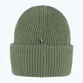 Wintermütze Fjällräven 1960 Logo Hat caper green 3