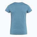 Damen-Trekking-T-Shirt Fjällräven Arctic Fox blau F89849 2