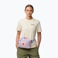 Bauchtasche Gürteltasche Fjällräven Kanken 4 l pastel lavender 4