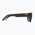 Sonnenbrille POC Want bronzite brown/clarity univpartly sunny turquoise 4
