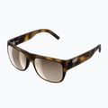 POC Want tortoise brown/clarity trail/partly sunny silver Sonnenbrille