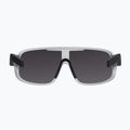 Fahrradbrille POC Aspire argentite silver/clarity define silver 3
